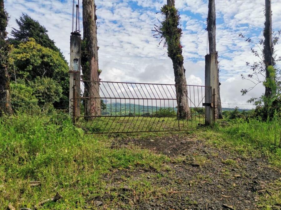 Foto Terreno en Venta en Dulce Nombre, Cartago - U$D 550.000 - TEV60853 - BienesOnLine