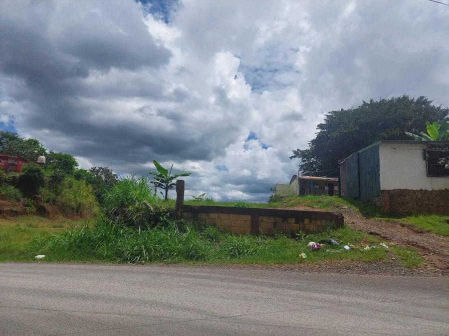 Foto Terreno en Venta en Guadalupe, Alajuela - U$D 30.000 - TEV60991 - BienesOnLine