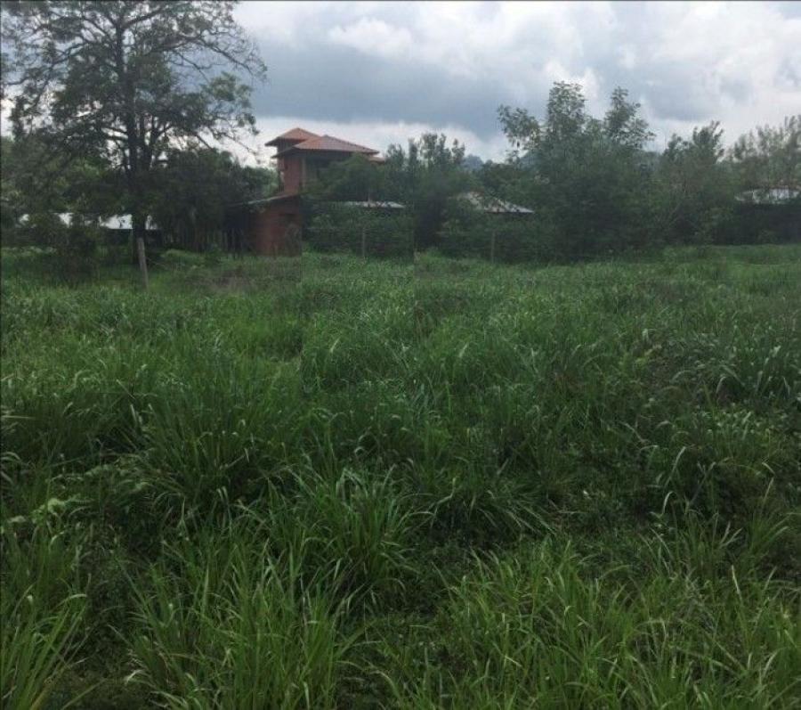 Foto Terreno en Venta en Hojancha, Guanacaste - ¢ 9.300.000 - TEV82857 - BienesOnLine