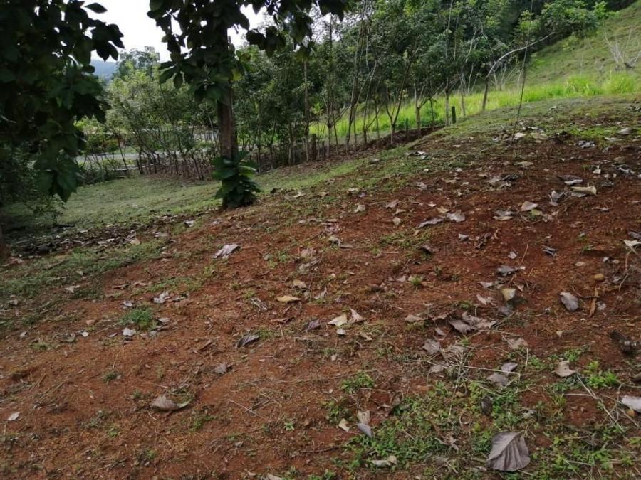 Foto Terreno en Venta en Hojancha, Guanacaste - U$D 16.500 - TEV70944 - BienesOnLine