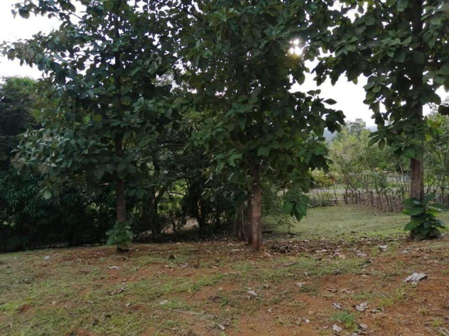 Foto Terreno en Venta en Hojancha, Guanacaste - U$D 18.000 - TEV70945 - BienesOnLine