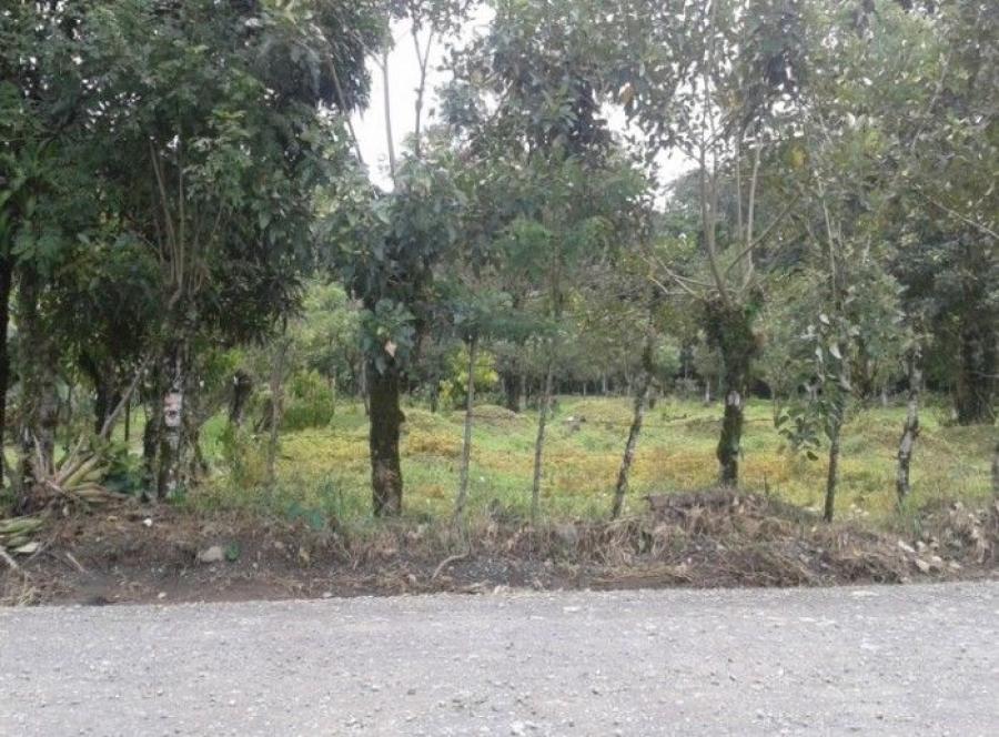 Foto Terreno en Venta en Peas Blancas, Alajuela - ¢ 14.000.000 - TEV82858 - BienesOnLine