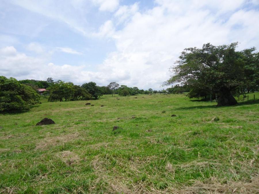 Foto Terreno en Venta en Garita, Alajuela - U$D 4.500.000 - TEV62412 - BienesOnLine