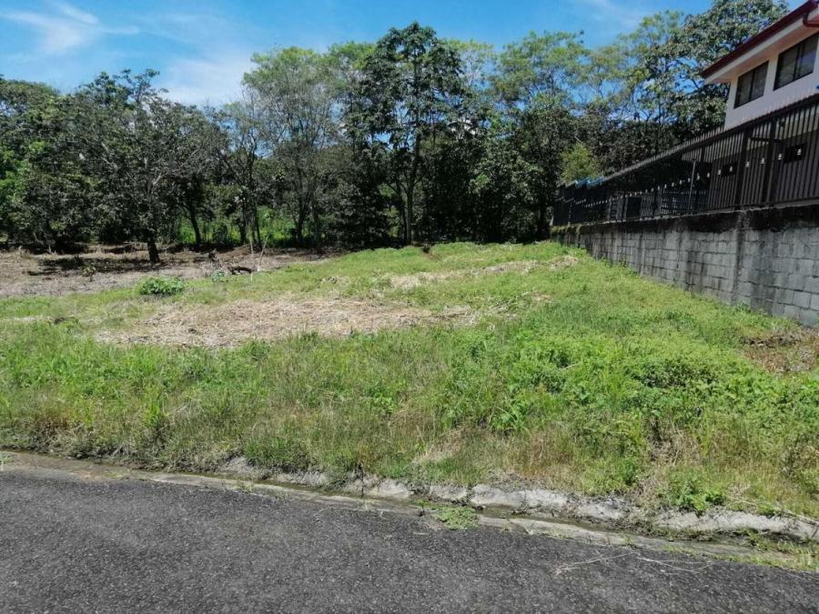 Fotos de Terreno en Venta en Naranjo, Alajuela MLS 231338 CL. Anuncio