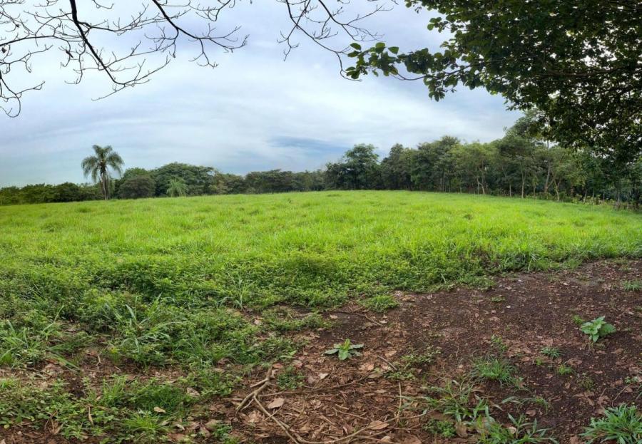 Foto Terreno en Venta en Orotina, Alajuela - U$D 3.520.000 - TEV63141 - BienesOnLine