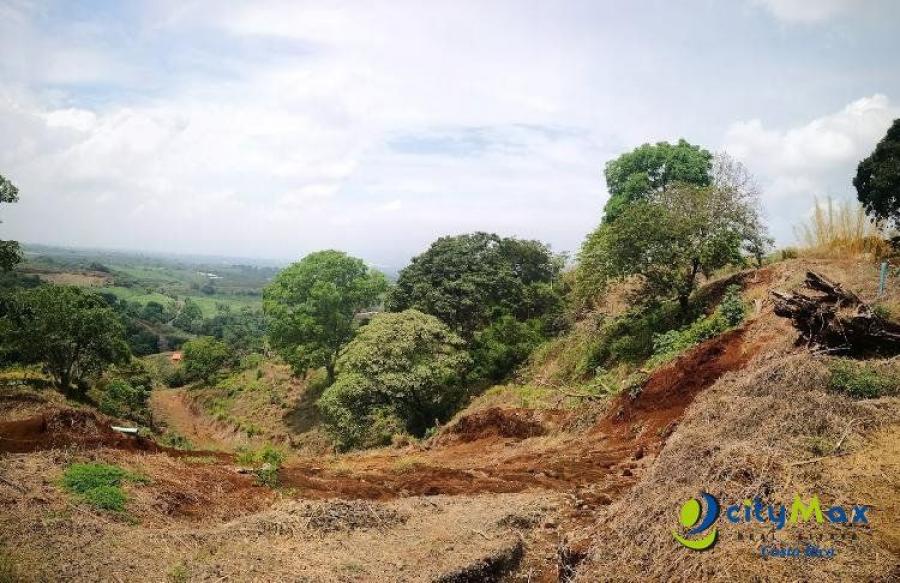 Foto Terreno en Venta en Puente de Piedra, Alajuela - ¢ 58.000.000 - TEV81136 - BienesOnLine