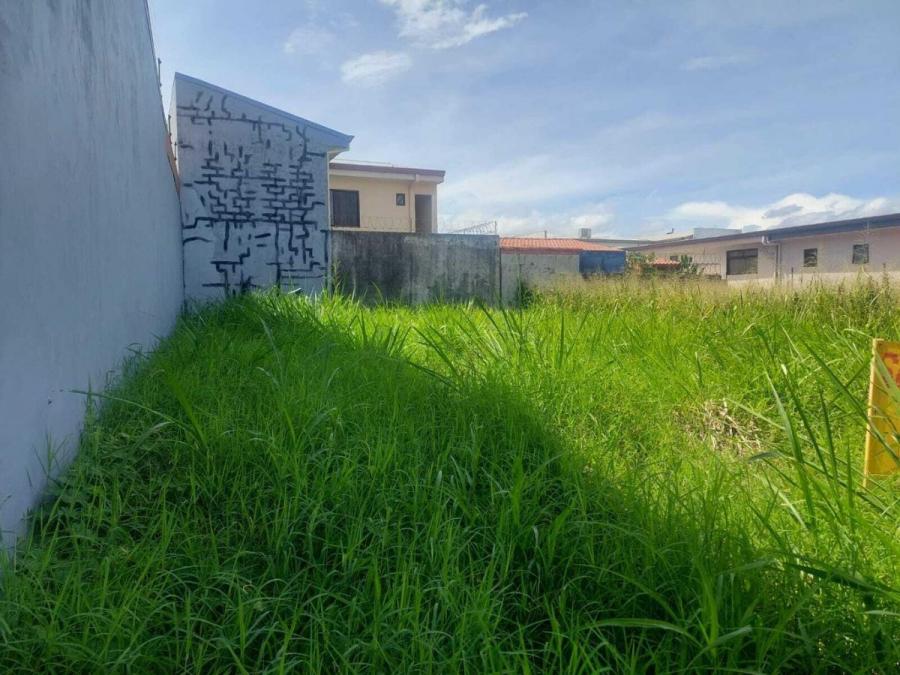 Foto Terreno en Venta en San Pablo, Heredia - U$D 94.000 - TEV82585 - BienesOnLine