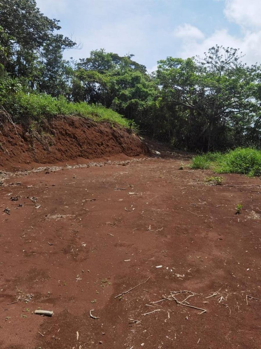 Foto Terreno en Venta en San Ramn, Alajuela - U$D 120.000 - TEV80491 - BienesOnLine