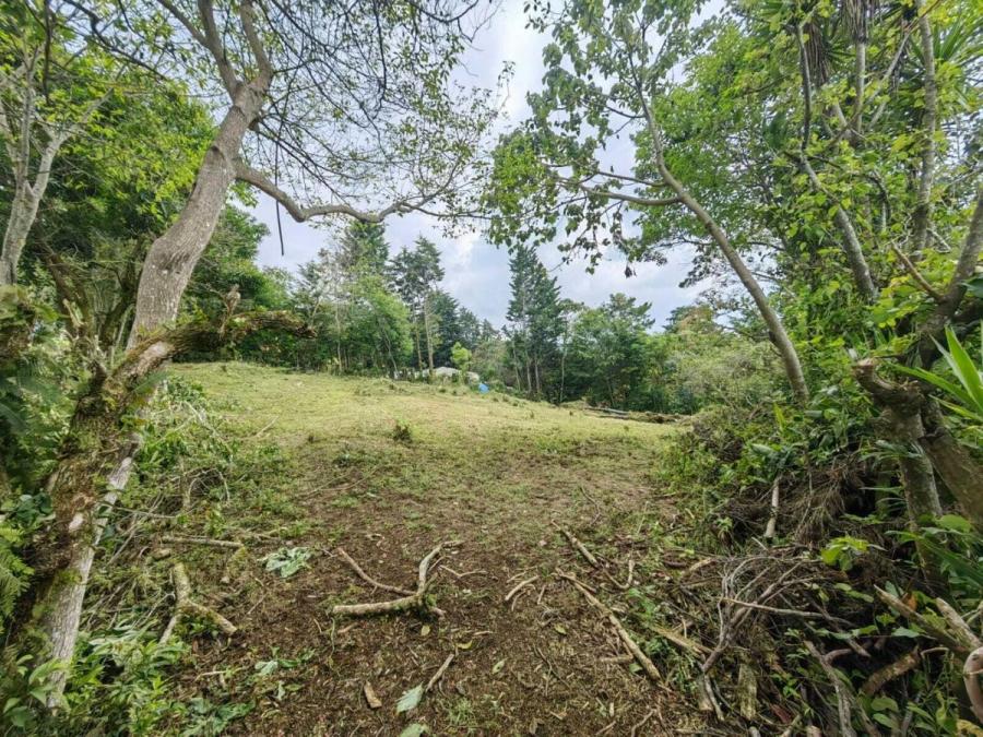 Foto Terreno en Venta en Santa Brbara, Heredia - U$D 80.000 - TEV71702 - BienesOnLine