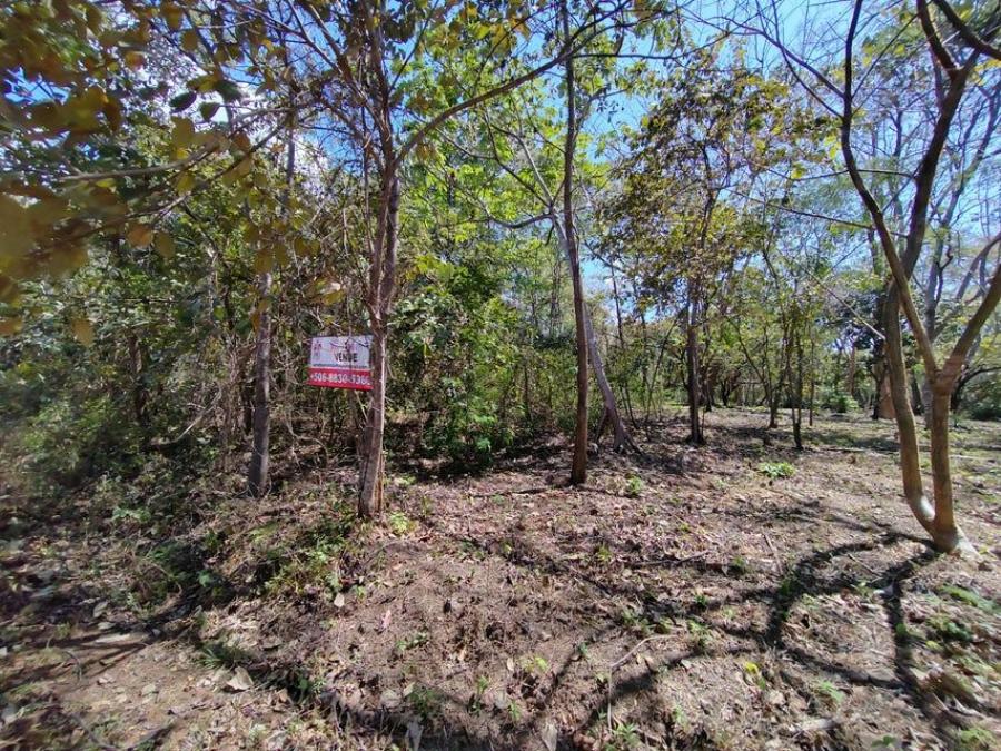 Foto Terreno en Venta en Santa Cruz, Guanacaste - U$D 155.000 - TEV76855 - BienesOnLine