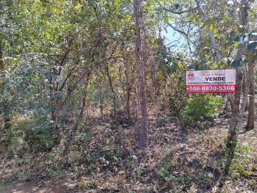 Foto Terreno en Venta en Santa Cruz, Guanacaste - U$D 155.000 - TEV79964 - BienesOnLine