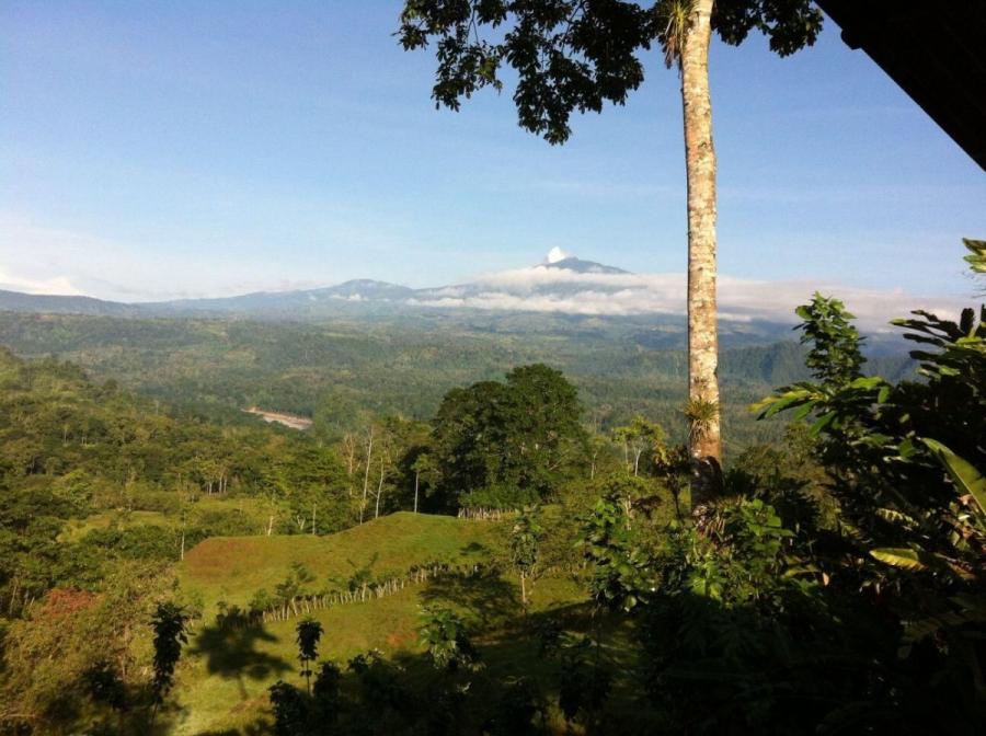 Foto Terreno en Venta en Siquirres, Limón - U$D 150.000 - TEV60597 - BienesOnLine