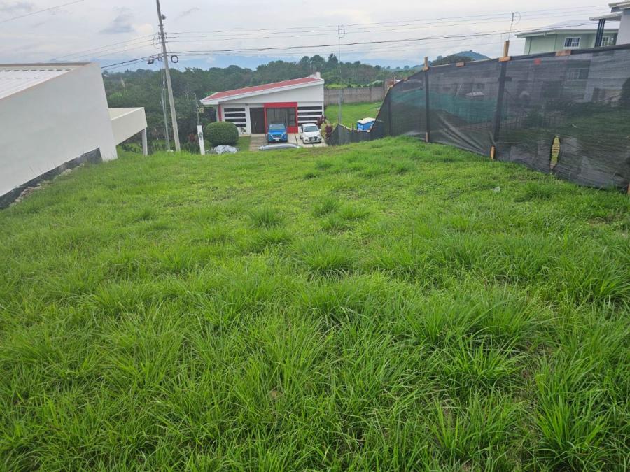 Foto Terreno en Venta en TACARES, Grecia, Alajuela - &cent; 27.000.000 - TEV125968 - BienesOnLine