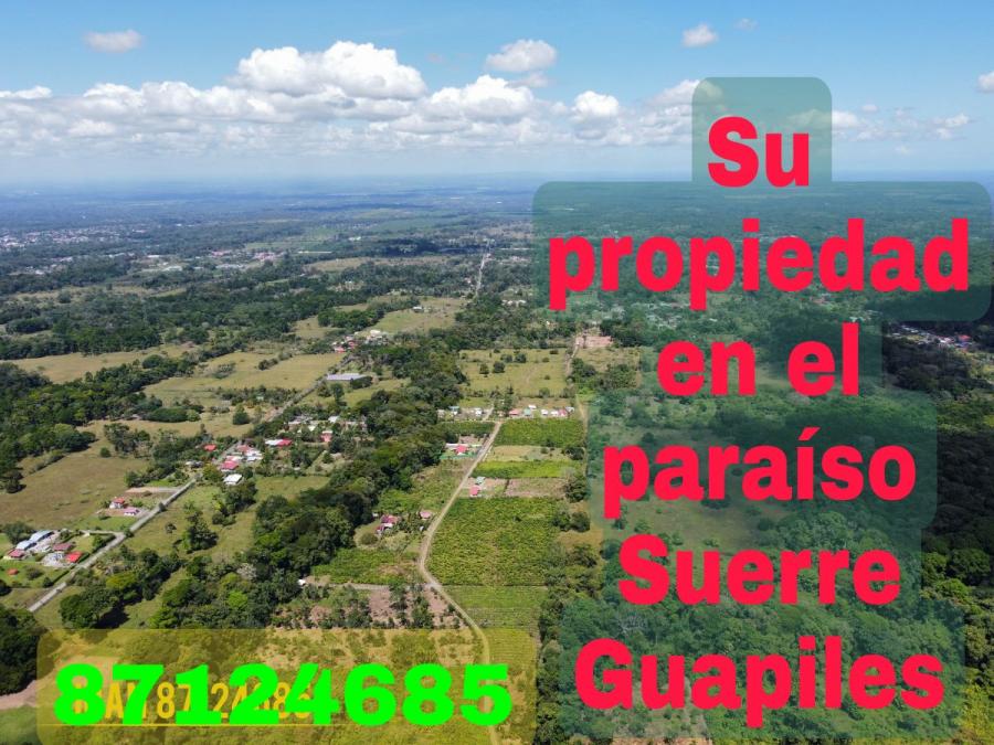 Foto Finca en Venta en Suerre, Limn - ¢ 29.000.000 - FIV55456 - BienesOnLine