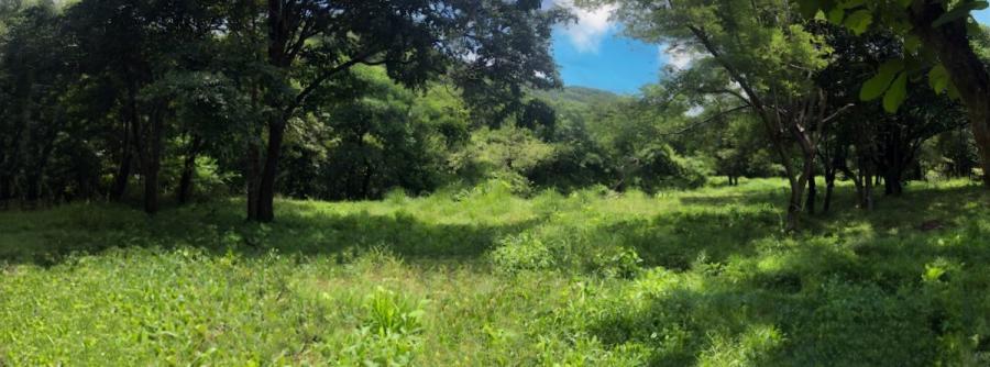 Foto Finca en Venta en Nicoya, Guanacaste - 42 hectareas - U$D 725.000 - FIV90266 - BienesOnLine