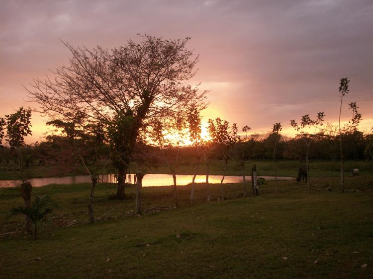 Foto Finca en Venta en San Jose de Upala, San Jos, Alajuela - 41 hectareas - U$D 185.000 - FIV203 - BienesOnLine