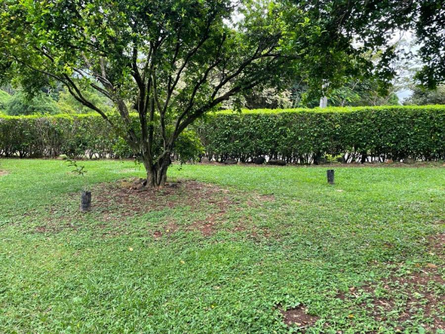 Foto Terreno en Venta en Jesus María, Condominio Lindas Vistas, Alajuela - &cent; 44.000.000 - TEV101946 - BienesOnLine