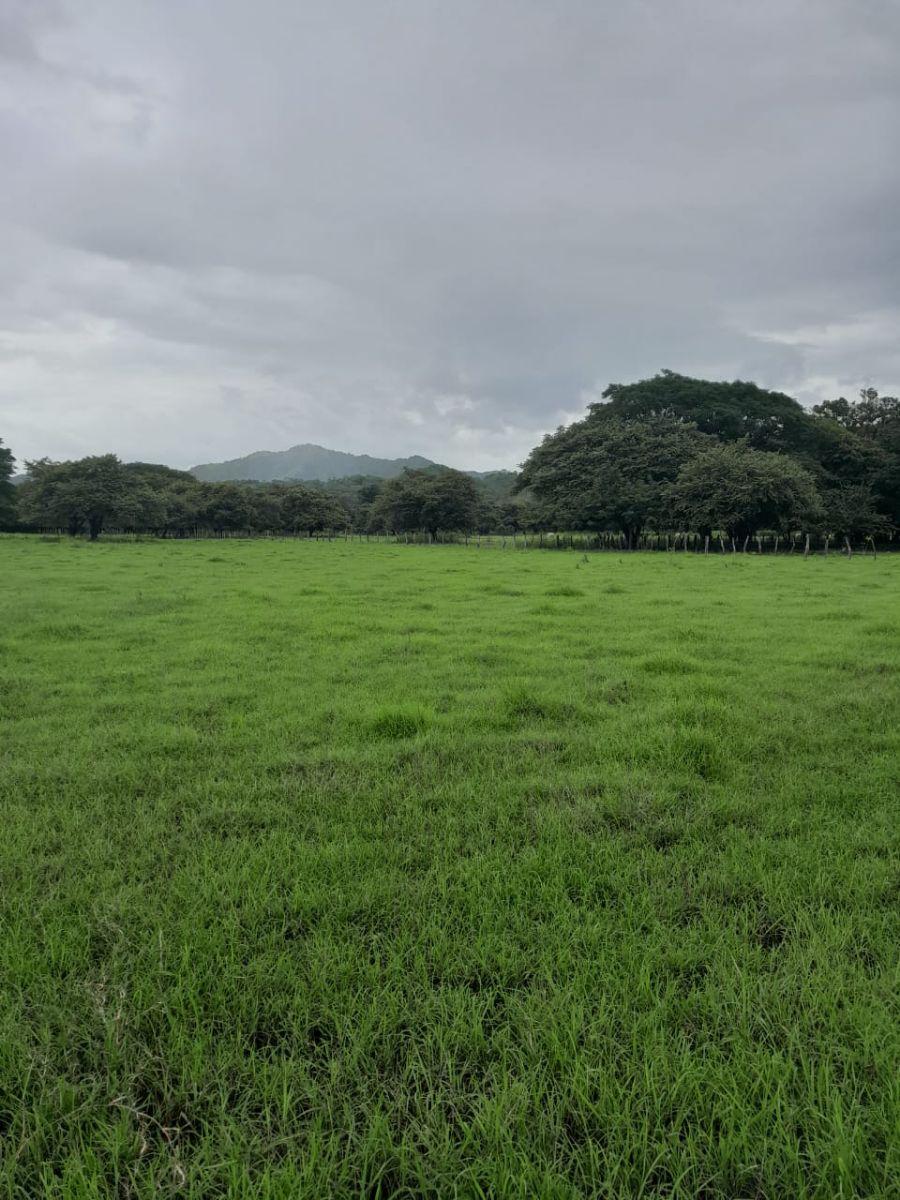 Foto Finca en Venta en Santa Cruz, Guanacaste - U$D 1.000.000 - FIV64015 - BienesOnLine