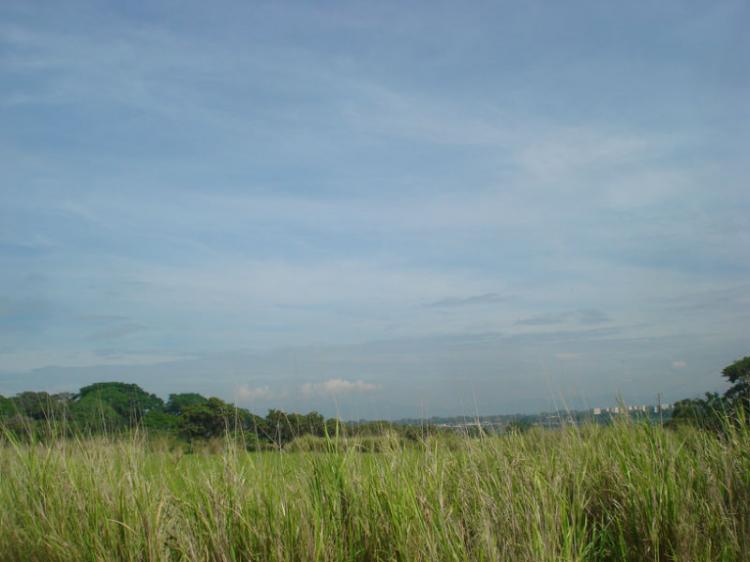 Home in Metric Way