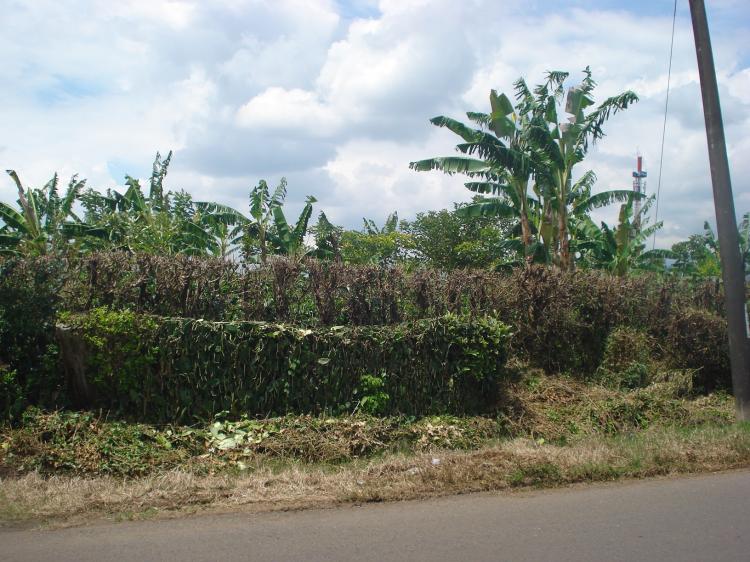 Home in Metric Way