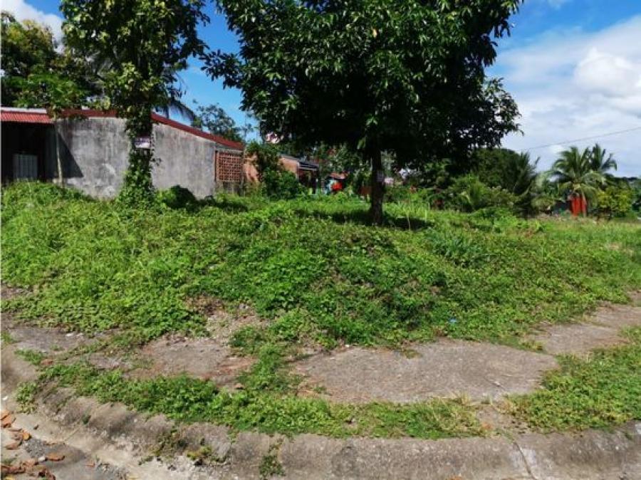 Foto Terreno en Venta en Siquirres, Limn - ¢ 8.000.000 - TEV86821 - BienesOnLine