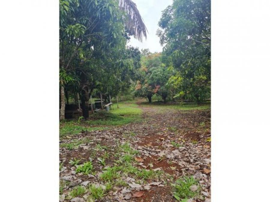 Foto Finca en Venta en Santa Cruz, Guanacaste - U$D 575.000 - FIV87700 - BienesOnLine