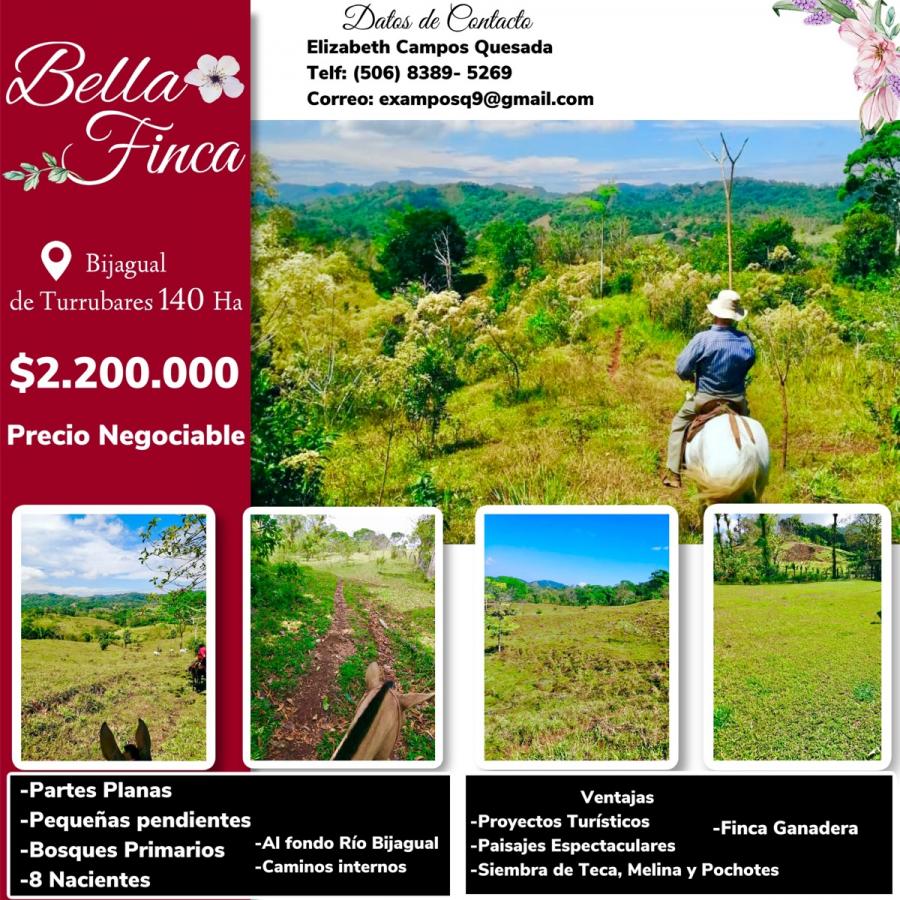 Foto Finca en Alquiler en Turrubares, San Jos - 140 hectareas - U$D 2.200.000 - FIA46120 - BienesOnLine