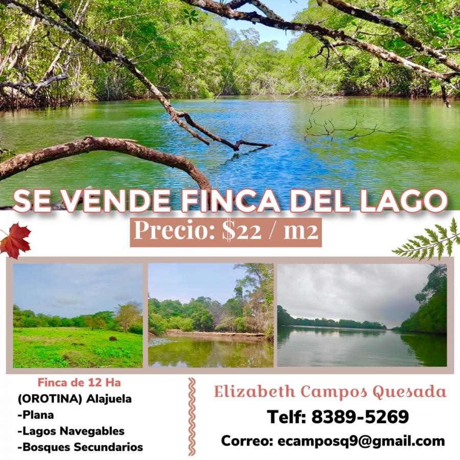 Foto Finca en Venta en Orotina, Alajuela - 12 hectareas - U$D 2.640.000 - FIV46122 - BienesOnLine