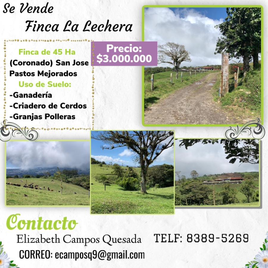 Foto Finca en Venta en Cascajal, San Jos - 43 hectareas - U$D 3.000.000 - FIV46123 - BienesOnLine
