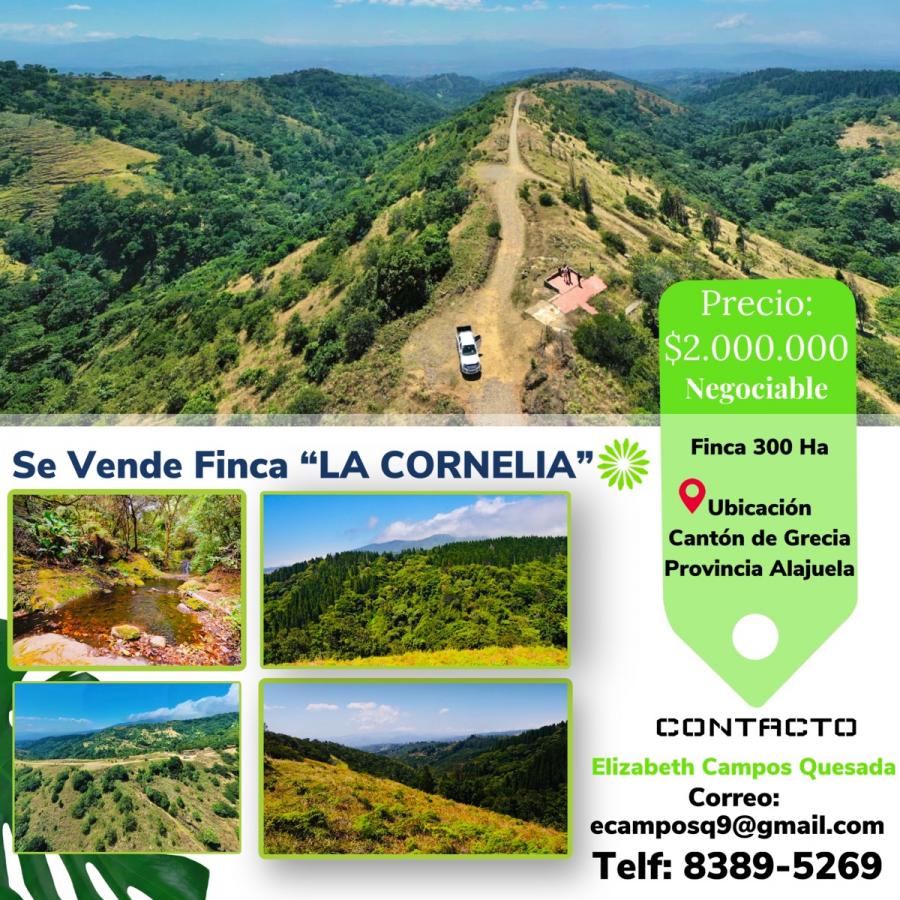 Foto Finca en Venta en Grecia, Alajuela - 300 hectareas - U$D 2.000.000 - FIV46124 - BienesOnLine