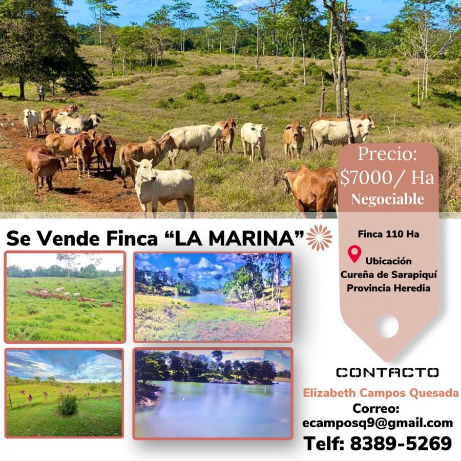 Foto Finca en Venta en San Carlos, Alajuela - 110 hectareas - U$D 770.000 - FIV46125 - BienesOnLine