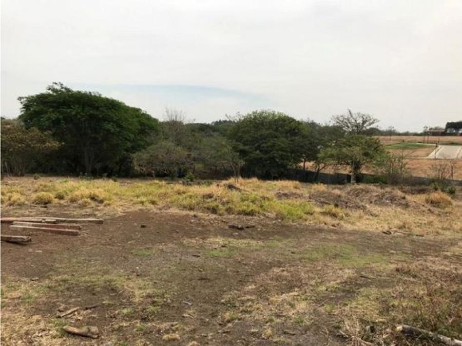 Foto Terreno en Venta en Gucima, Alajuela - U$D 210.000 - TEV64083 - BienesOnLine