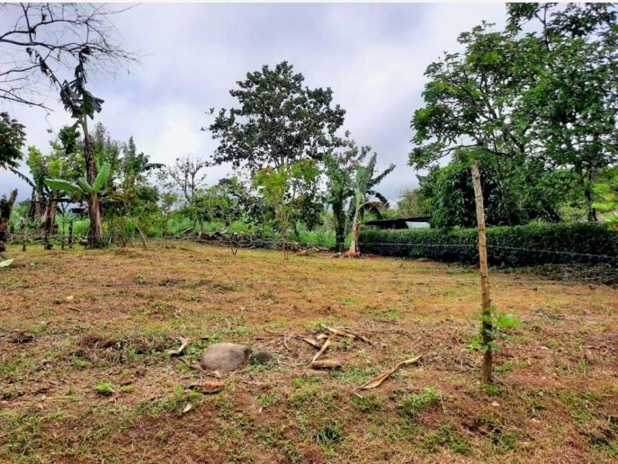 Foto Terreno en Venta en Ro Cuarto, Alajuela - ¢ 11.500.000 - TEV84658 - BienesOnLine