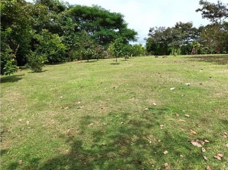 Foto Terreno en Venta en San Mateo, Alajuela - U$D 185.000 - TEV86261 - BienesOnLine