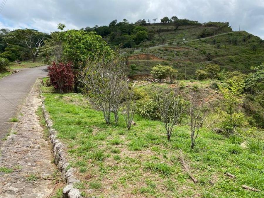 Foto Terreno en Venta en Orotina, Alajuela - ¢ 50.000.000 - TEV53497 - BienesOnLine