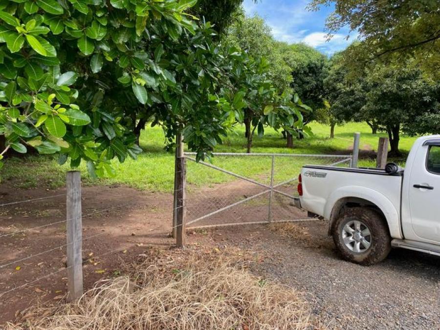 Foto Terreno en Venta en Caas, Guanacaste - U$D 550.000 - TEV61697 - BienesOnLine