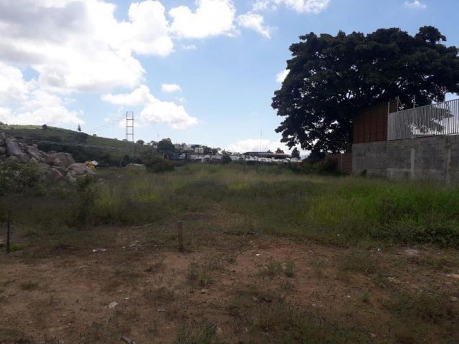 Foto Terreno en Venta en Cartago, Cartago, Cartago - ¢ 40.000.000 - TEV49218 - BienesOnLine