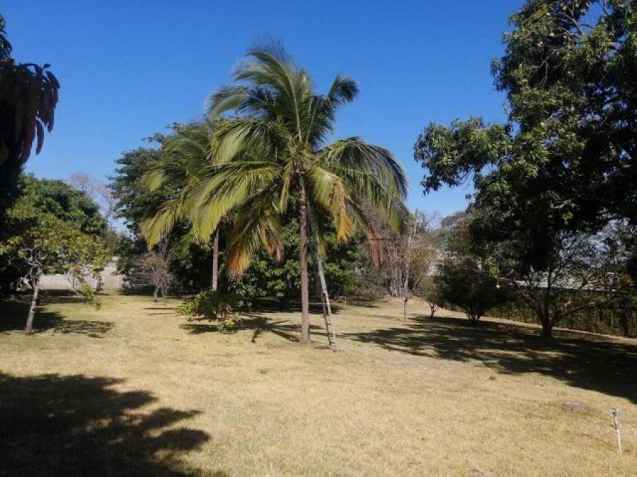 Foto Terreno en Venta en Coln, San Jos - U$D 1.500.000 - TEV63366 - BienesOnLine