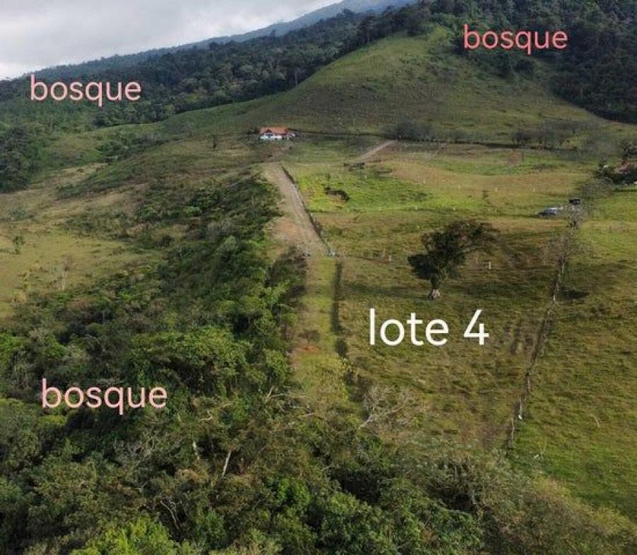 Foto Terreno en Venta en Quesada, Alajuela - ¢ 41.000.000 - TEV95556 - BienesOnLine