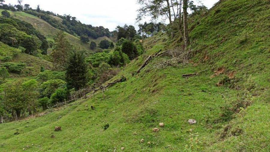 Foto Terreno en Venta en El Guarco, El Guarco, Cartago - U$D 368.640 - TEV46003 - BienesOnLine