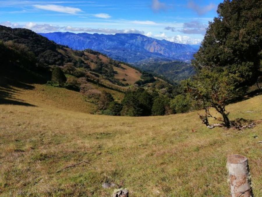 Foto Terreno en Venta en El Guarco, Cartago - ¢ 128.000.000 - TEV56042 - BienesOnLine