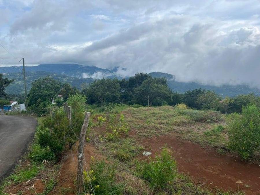 Foto Terreno en Venta en El Guarco, Cartago - &cent; 15.000.000 - TEV105651 - BienesOnLine