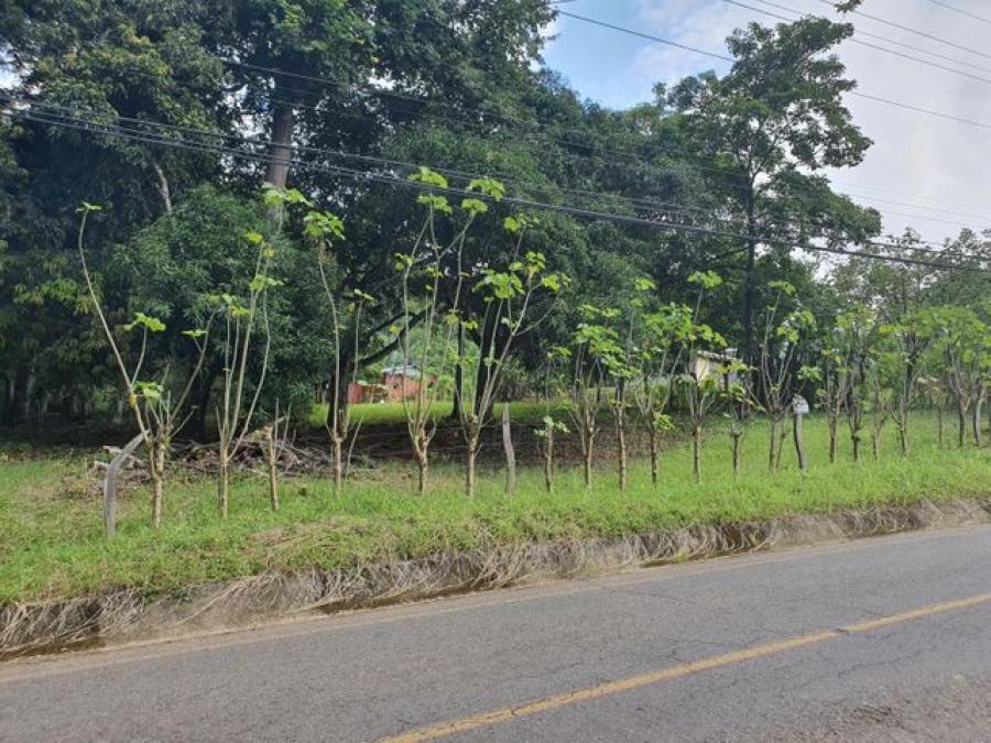 Foto Terreno en Venta en Juanilama, Esparza, Puntarenas - ¢ 82.000.000 - TEV53352 - BienesOnLine