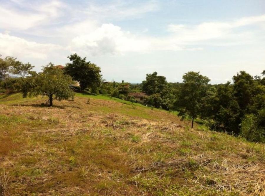 Foto Terreno en Venta en Garabito, Puntarenas - ¢ 116.000.000 - TEV54827 - BienesOnLine