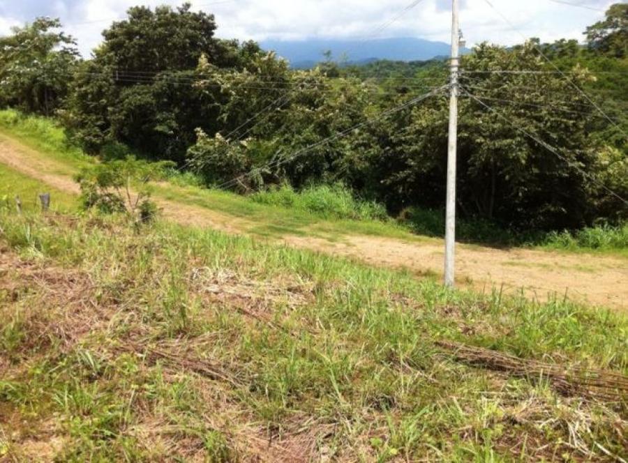 Foto Terreno en Venta en Garabito, Puntarenas - ¢ 117.000.000 - TEV58888 - BienesOnLine