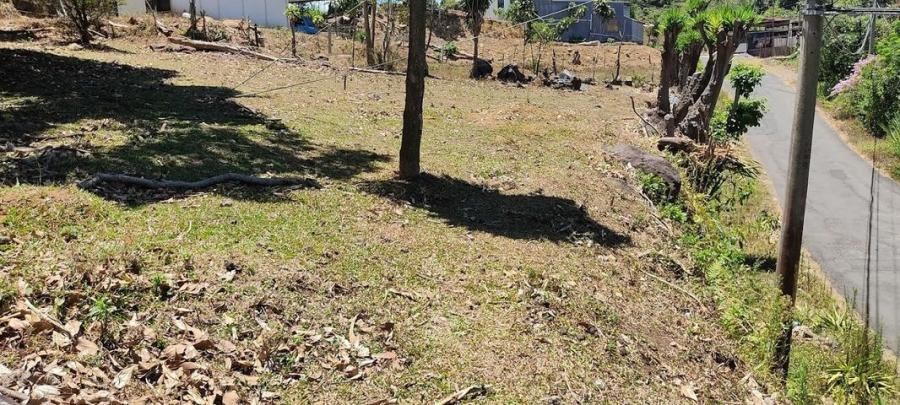 Foto Terreno en Venta en San Miguel, Grecia, Alajuela - U$D 32.500 - TEV40637 - BienesOnLine