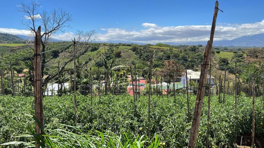 Foto Terreno en Venta en Yoses, Grecia, Alajuela - U$D 733.380 - TEV72146 - BienesOnLine