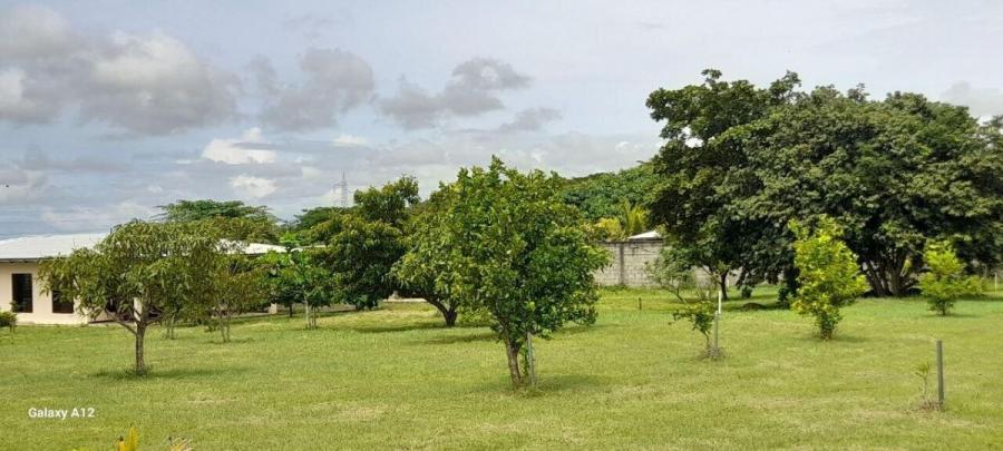 Foto Terreno en Venta en Liberia, Guanacaste - ¢ 500.000.000 - TEV96718 - BienesOnLine