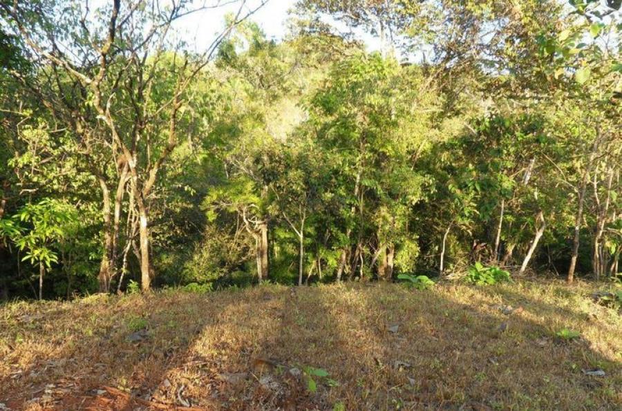 Foto Terreno en Venta en Hojancha, Hojancha, Guanacaste - ¢ 81.000.000 - TEV44075 - BienesOnLine