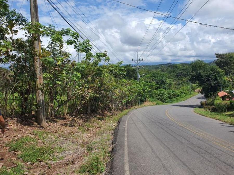 Foto Terreno en Venta en Juanilama, Esparza, Puntarenas - ¢ 26.000.000 - TEV53353 - BienesOnLine